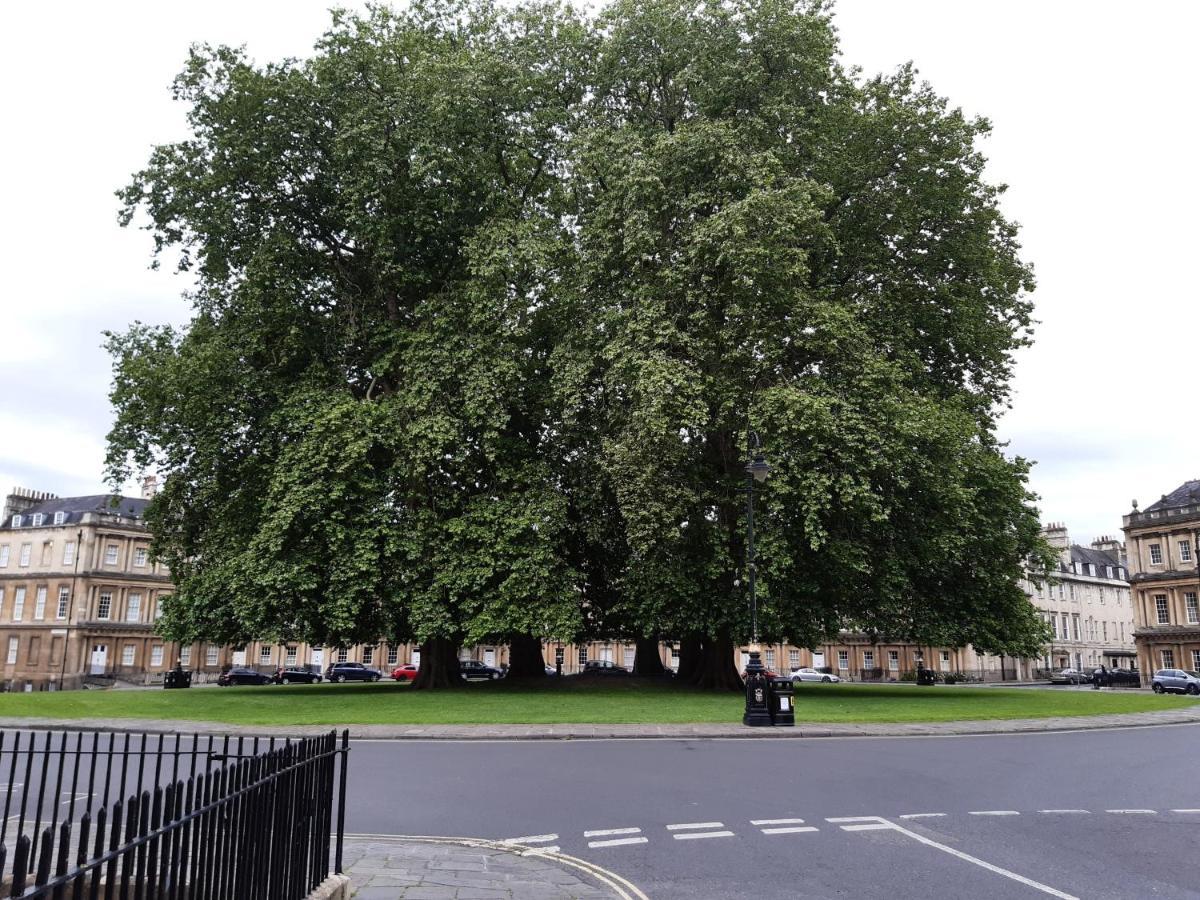 Pulteney Road Apartment บาธ ภายนอก รูปภาพ